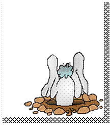 Kutatas