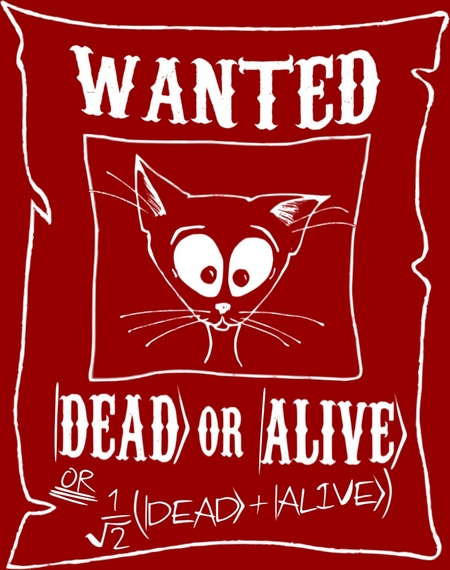 schrödinger cat